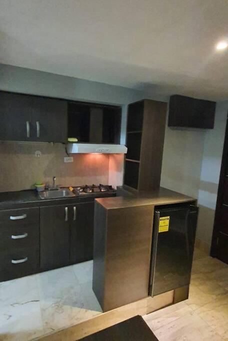 Apartamento R.1109 Estudio Ejecutivo. *